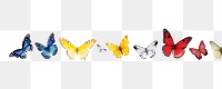 PNG Butterfly border panoramic animal insect.