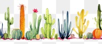 PNG Cactus border plant white background creativity.