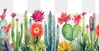 PNG Cactus border backgrounds panoramic plant.