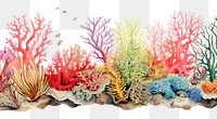 PNG Coral reef border outdoors aquarium nature.