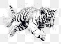 PNG Tiger cub jump drawing wildlife animal.