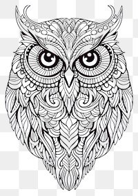 PNG Owl sketch doodle drawing. 