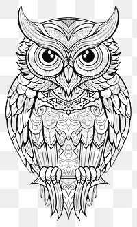 PNG Owl sketch doodle drawing. 