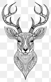 PNG Deer sketch drawing animal. 