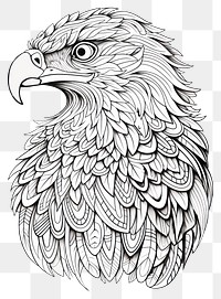 PNG Eagle head sketch drawing doodle. 
