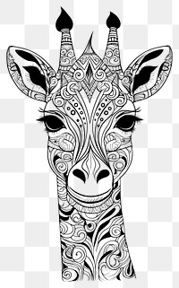 PNG Giraff head sketch giraffe drawing