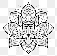 PNG Lotus sketch pattern drawing. AI generated Image by rawpixel.