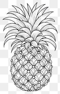 PNG Pine apple pineapple sketch fruit. 