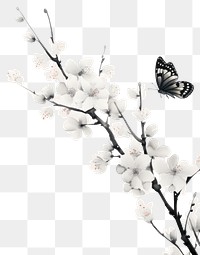 PNG  Butterfly with plum blossom branch flower insect plant