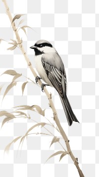 PNG  Bird perched on the bamboo leaves sparrow drawing animal. 