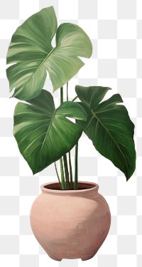 PNG A Monstera in cute pot isolated on clear background painting plant leaf.