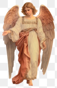 PNG  An angel adult white background representation.