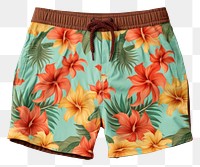 PNG  Hawaiian short shorts underpants frangipani. AI generated Image by rawpixel.