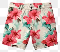 PNG Hawaiian short shorts creativity beachwear. 