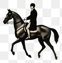 PNG  Horse rider animal mammal adult. AI generated Image by rawpixel.