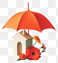 PNG A Home insurance umbrella flower asteraceae.