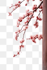 PNG  Plum blossom branch flower plant wall. AI generated Image by rawpixel.