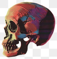 PNG  A Pyschedelic vivid Skull pattern art creativity.