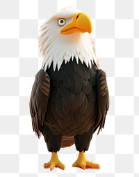 PNG  American Bald Eagle animal eagle bird.