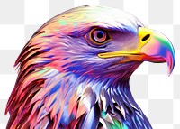 PNG  Bald head eagle iridescent animal bird beak.