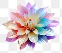 PNG  Flower iridescent dahlia plant white background.