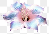 PNG  Flower iridescent blossom petal plant.