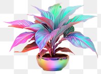 PNG  Plant iridescent leaf white background creativity.