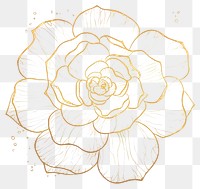 PNG  Flower sketch pattern drawing.