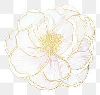 PNG  Watercolor flower with gold glitter outline sketch line stroke pattern drawing plant.