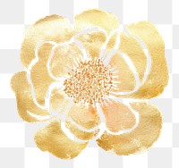 PNG  Watercolor flower with gold glitter outline sketch line stroke pattern petal plant.
