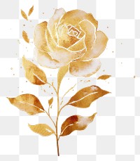PNG  Watercolor flower with gold glitter outline sketch line stroke pattern plant rose.