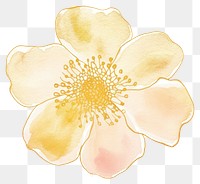PNG  Watercolor flower painting with gold glitter outline sketch line stroke petal plant paper.