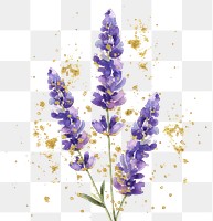 PNG  Watercolor purple lavender with gold glitter outline sketch blossom flower plant.