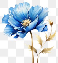 PNG  Blue flower watercolor and golden line art petal plant inflorescence.