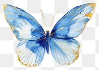 PNG  Butterfly animal insect sketch.