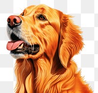 PNG  Mammal animal dog pet. AI generated Image by rawpixel.