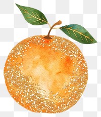 PNG  Gold glitter outline stroke orange fruit with orange watercolor plant food leaf.