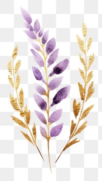 PNG  Golden glitter outline stroke with purple watercolor lavender flower plant astragalus.