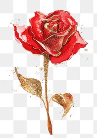 PNG  Golden glitter outline stroke with red watercolor rose flower petal plant.
