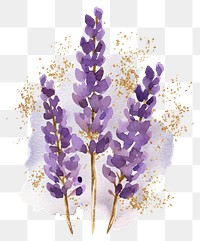 PNG  Minimal purple watercolor lavender with golden glitter outline stroke blossom flower plant.