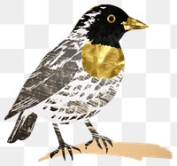 PNG  Bird ripped paper blackbird animal beak.