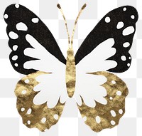 PNG  Butterfly ripped paper animal insect white background.