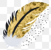 PNG  Feather ripped paper white background lightweight softness.