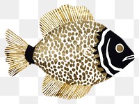 PNG  Fish shape ripped paper animal white background angelfish.