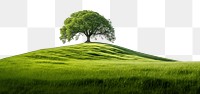 PNG Hilly grass field with a tree landscape nature grassland. AI generated Image by rawpixel.