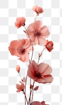 PNG Floral blossom flower petal. AI generated Image by rawpixel.