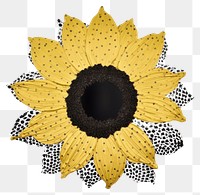 PNG  Sunflower shape ripped paper plant inflorescence asterales.