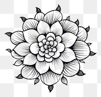 PNG  Doodle flower drawing pattern sketch. AI generated Image by rawpixel.