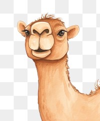 PNG Cute background camel mammal animal. 
