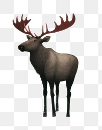 PNG Cute background mammal moose tranquility. AI generated Image by rawpixel.